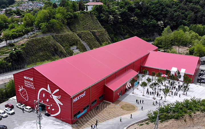 지난 2023년 5월 24일 태백시 장성동에서 준공식을 가진 태백 에코잡시티 스마트팜 실내 농장 전경.(사진=태백시 제공) *재판매 및 DB 금지