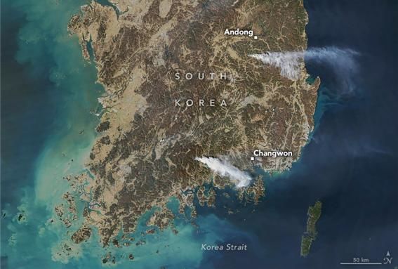 [서울=뉴시스] 미국 항공우주국(NASA)이 공개한 한반도 위성 사진. 안동과 산청 지역을 중심으로 연기가 자욱하다. (출처=NASA Earth Observatory) 2025.03.27. photo@newsis.com *재판매 및 DB 금지