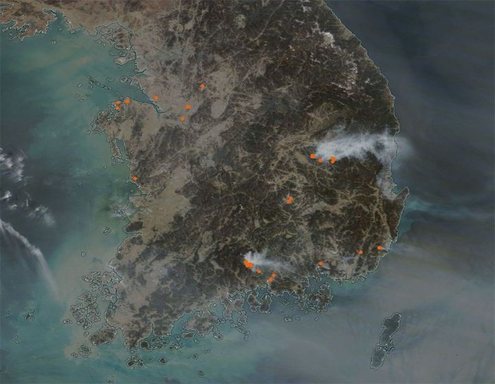 [서울=뉴시스] 미국 항공우주국(NASA)이 공개한 한반도 위성 사진. 붉은색 점이 산불 발생 지역을 보여준다. (출처=NASA MODIS) 2025.03.27. photo@newsis.com *재판매 및 DB 금지