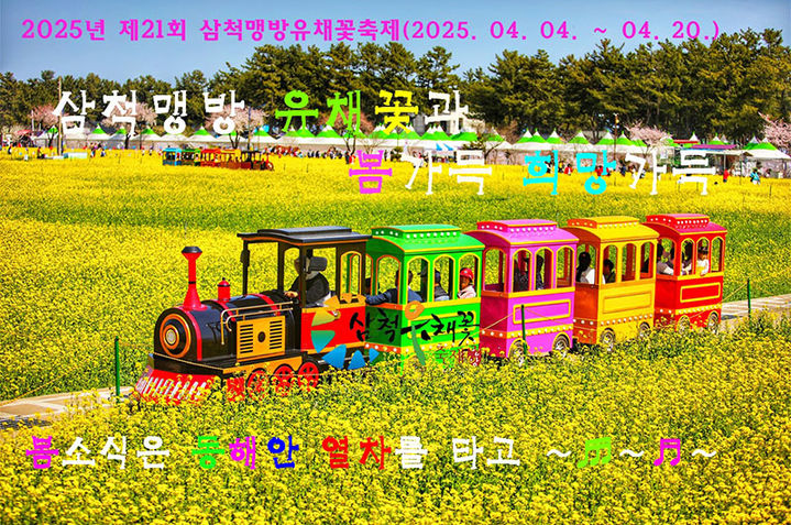 삼척시가 27일 산불로 국가비상 상황임에도 제21회 삼척맹방유채꽃 축제를 홍보하고 있어 논란이 일고 있다. 사진은 맹방유채꽃 축제 포스터.(사진=삼척시 제공) *재판매 및 DB 금지