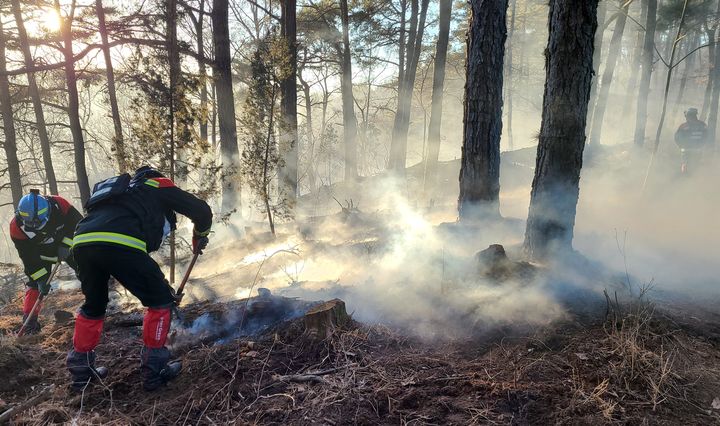 *재판매 및 DB 금지