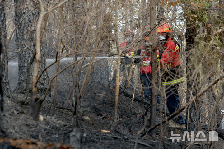[울산=뉴시스] 배병수 기자 = 울산시 울주군 온양읍 산불이 발생한지 여샛째 27일 오전 산불전문예방진화대 대원들이 잔불정리를 하고 있다. 2025.03.27.bbs@newsis.com.
