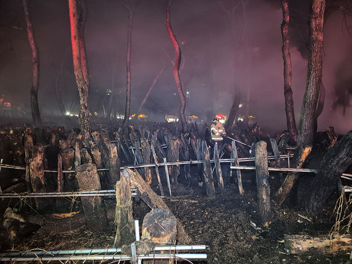 28일 새벽 12시께 충남 당진시 송악읍 반촌리 당진IC주변 단독주택에서 불이 나 현장에 출동한 소방대원이 잔불을 정리하고 있다. (사진=당진소방서 제공) 2025.03.28. photo@newsis.com *재판매 및 DB 금지