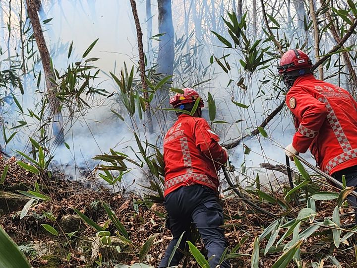 [산청=뉴시스] 서희원 기자= 28일 오전 9시30분깨 경남 산청군 시천면 덕산사 해우소 뒷쪽에 임도에서 20m지점에 진화하고 있다. 2025. 03. 28. shw1881@newsis.com *재판매 및 DB 금지
