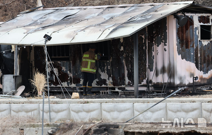 [의성=뉴시스] 김금보 기자 = 소방대원들이 29일 오후 경북 의성군 사촌리 산불 피해 마을에서 잔해를 수색하고 있다. 2025.03.29. kgb@newsis.com