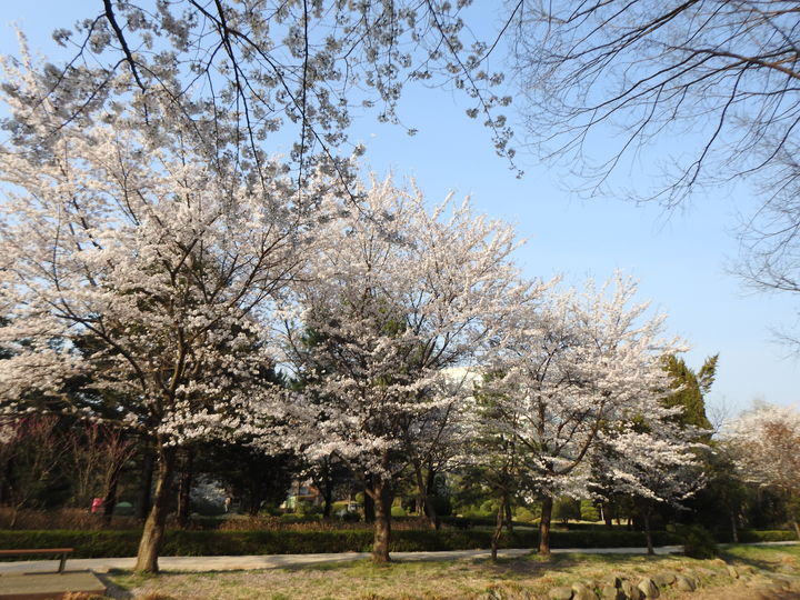 [수원=뉴시스] 물향기수목원 전시원. (사진=경기도 제공) 2025.03.30. photo@newsis.com *재판매 및 DB 금지