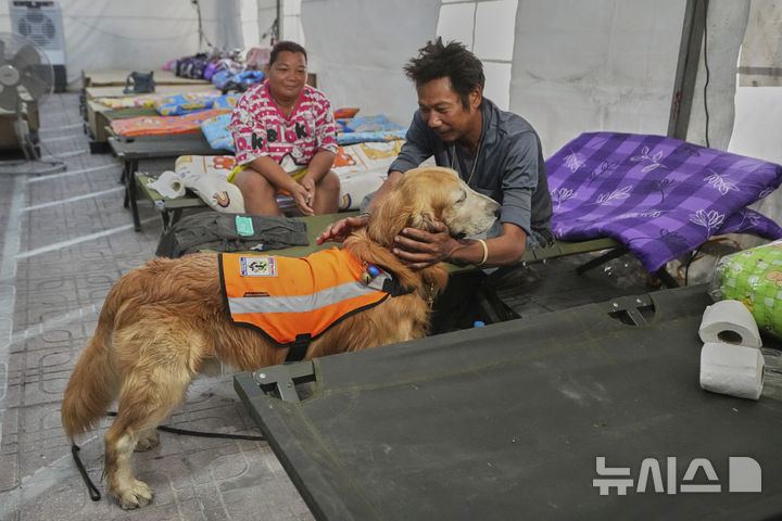 [방콕=AP/뉴시스] 지난달 31일(현지 시간) 태국 방콕에서 건설 중인 고층 빌딩이 지진으로 붕괴한 후, '사파리'라는 이름의 구조견이 실종자 가족들을 위로하듯 함께하고 있다. 지난달 28일 미얀마 만달레이에서 발생한 규모 7.7 지진으로 태국에서 지금까지 최소 18명이 숨진 것으로 알려졌다. 2025.04.01.