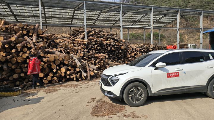 [합천=뉴시스] 합천군청 합천군 봄철 소나무류 이동 특별단속 재판매 및 DB 금지 *재판매 및 DB 금지