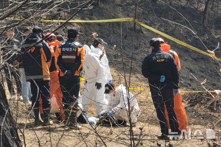 [의성=뉴시스] 이상제 기자 = 31일 경북 대형산불 최초 발화 추정 지점인 의성군 괴산리 야산에서 국립과학수사연구원, 소방당국, 경찰 등이 합동 감식을 하고 있다. 202503.31. king@newsis.com&nbsp; 
