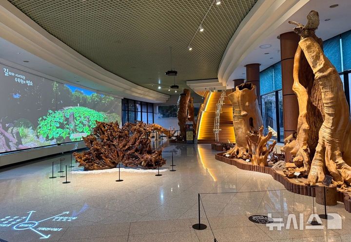 [진주=뉴시스]경상남도산림박물관 1층 로비.(사진=경남도 제공) 2025.03.31. photo@newsis.com