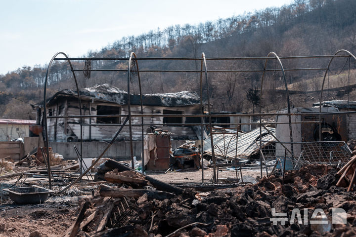 [영양=뉴시스] 김정화 기자 = 31일 경북 영양군 석보면 답곡리의 한 주택이 산불로 인해 잔해만 남았다. 2025.03.31. jungk@newsis.com 