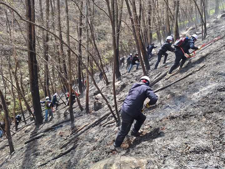 [창원=뉴시스]부산울산경남산림조합, 지역 산불 진화.(사진=부산울산경남산림조합 제공) 2025.03.31.photo@newsis.com *재판매 및 DB 금지