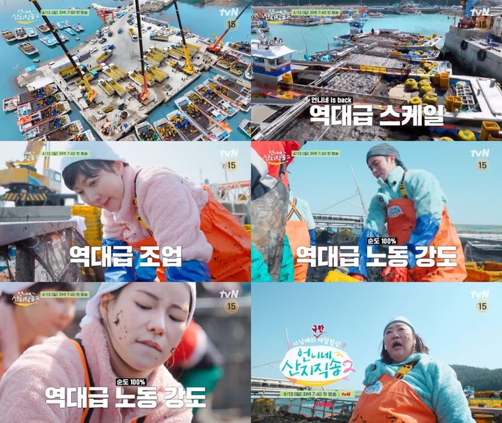 [서울=뉴시스] tvN '언니네 산지직송2'가 오는 4월 13일 오후 7시 40분 첫 방송된다. (사진=tvN '언니네 산지직송2' 제공) 2025.03.31. photo@newsis.com *재판매 및 DB 금지