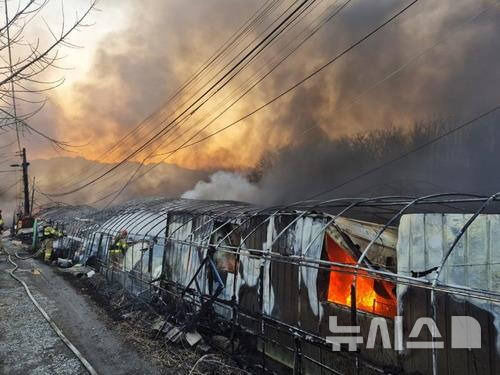 [과천=뉴시스] 과천시 과천동 일명 ‘꿀벌마을’ 화재현장. (사진=경기도소방재난본부 제공)..photo@newsis.com
