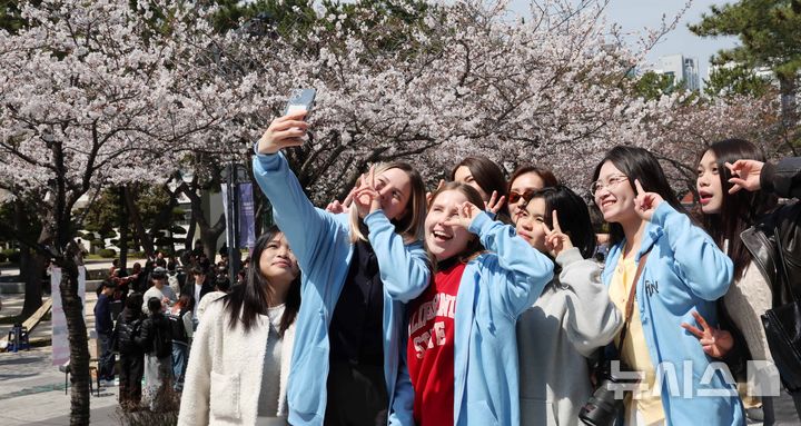 [부산=뉴시스] 하경민 기자 =&nbsp; 교육부는 최근 미국과 일본의 한국어교육원 유학생 유치센터를 통해 활발한 유학생 유치 활동을 추진하고 있다고 5일 밝혔다. 사진은 3월 31일 부산 남구 국립부경대학교 백경광장에서 열린 벚꽃 축제 '핑크캠퍼스'에 참가한 외국인 유학생들이 활짝 핀 벚꽃을 배경으로 기념사진을 찍는 모습. 2025.03.31. yulnetphoto@newsis.com