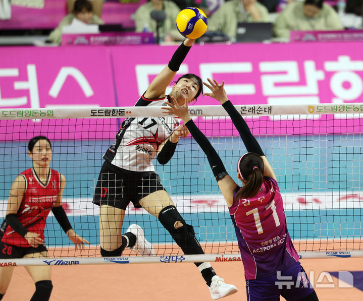 정호영 경기 장면