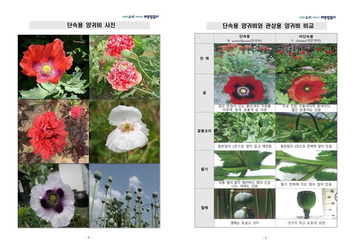 사진=군산해경 제공 *재판매 및 DB 금지