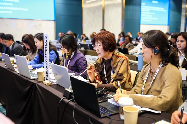 [서울=뉴시스] 식품의약품안전처는 서울에서 개최한 ‘제55차 코덱스 식품첨가물분과위원회(CCFA)를 성공적으로 마무리했다고 1일 밝혔다. 한국대표단이 발언하는 모습. (사진=식약처 제공) 2025.04.01. photo@newsis.com *재판매 및 DB 금지