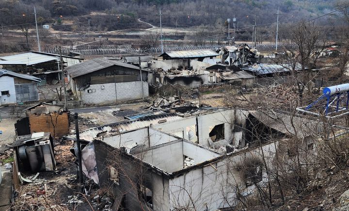 [의성=뉴시스] 김진호 기자 = 경북 의성군 단촌면 하화리가 산불로 인해 폐허가 돼 있다. 2025.04.01. kjh9326@newsis.com *재판매 및 DB 금지