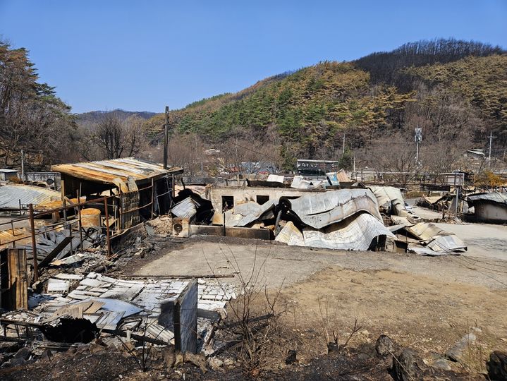 [청송=뉴시스] 경북 의성에서 발생한 괴물산불로 인해 청송지역 유명 관광지인 달기약수터가 큰 피해를 입었다. june@newsis.com *재판매 및 DB 금지