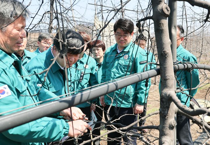 [세종=뉴시스] 권재한 농촌진흥청장은 1일 산불 피해 지역인 경북 의성군 과수 농가를 찾아 농업인을 위로하고, 피해 복구에 최선을 다하겠다고 말했다. (사진=농진청 제공) 2025.04.01. photo@newsis.com *재판매 및 DB 금지