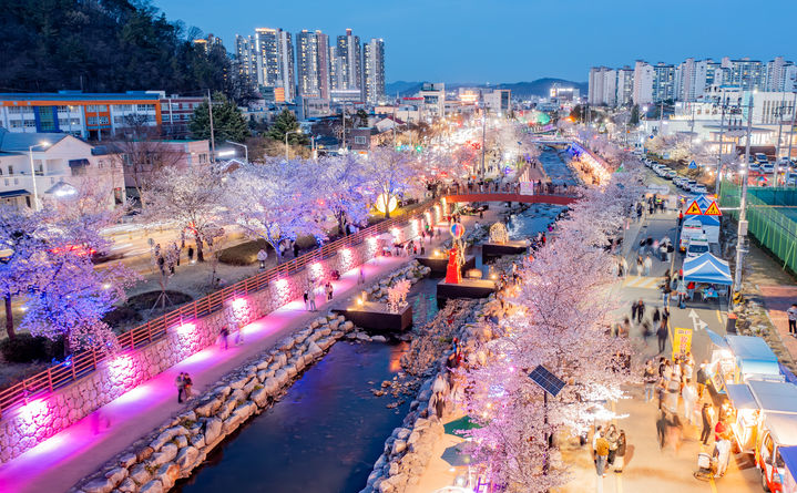 [구미=뉴시스] 금오천 벚꽃 페스티벌. (사진=구미시 제공) 2025.04.01 photo@newsis.com *재판매 및 DB 금지