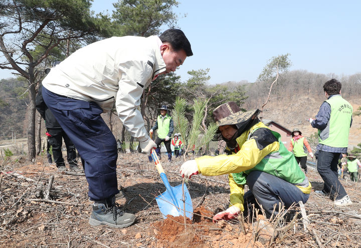 [청주=뉴시스] 1일 충북 청주시 청원구 오창읍 성산리 야산에서 열린 청주시 나무심기 행사에서 이범석 시장(왼쪽)이 소나무 묘목을 심고 있다. (사진=청주시 제공) 2025.04.01. photo@newsis.com *재판매 및 DB 금지