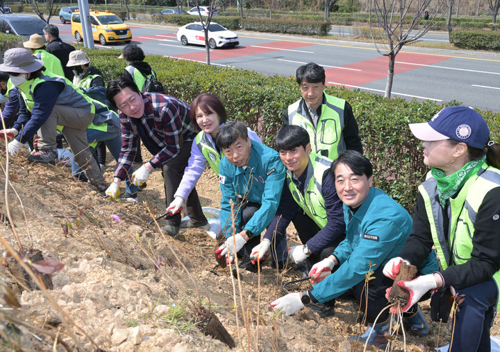 [울산=뉴시스] 1일 울산 남구 여천 메타세쿼이아길 일원에서 이채권 남구 부구청장과 이상기 남구의회 의장, 박재경 남구자연보호협의회 회장을 비롯한 회원들이 진달래 묘목을 심고 있다. (사진=울산 남구 제공) 2025.04.01. photo@newsis.com *재판매 및 DB 금지
