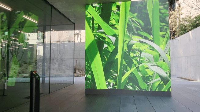 [사진=박현주 미술전문기자] 송은 입구에 설치된 영상은 트로마라마의 'Panoramix'(2015)영상 작품이다. g화면을 채운 여러 식물들이가벼운 바람에 커튼처럼 흔들린다. *재판매 및 DB 금지
