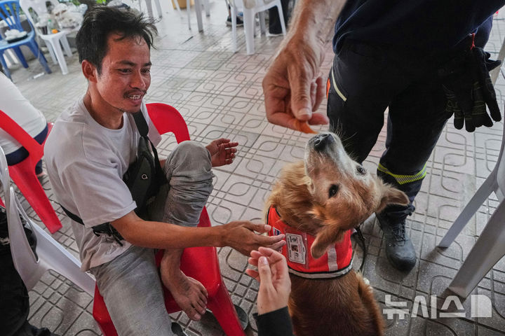 [방콕=AP/뉴시스] 1일(현지 시간) 태국 방콕에서 지진으로 붕괴한 고층 건물 건설 현장에서 구조견 '사파리'가 실종자 가족들과 함께하며 이들을 위로하고 있다. 2025.04.02.