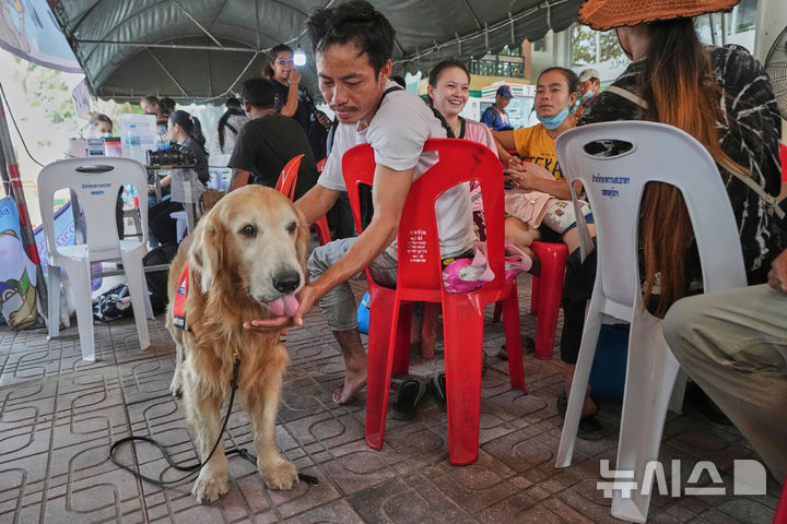 [방콕=AP/뉴시스] 1일(현지 시간) 태국 방콕에서 지진으로 붕괴한 고층 건물 건설 현장에서 구조견 '사파리'가 실종자 가족들과 함께하며 이들을 위로하고 있다. 2025.04.02.