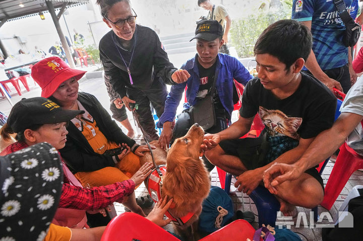 [방콕=AP/뉴시스] 1일(현지 시간) 태국 방콕에서 지진으로 붕괴한 고층 건물 건설 현장에서 구조견 '렉'이 실종자 가족들과 함께하며 이들을 위로하고 있다. 2025.04.02.