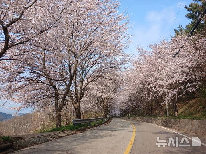 [서울=뉴시스] 왕산마을. 