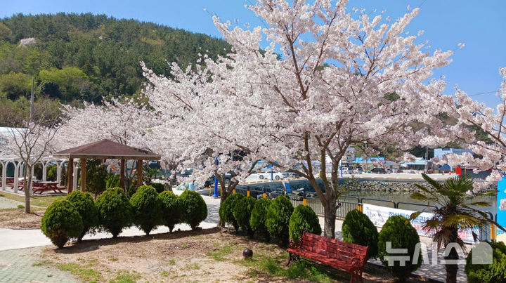 [서울=뉴시스] 궁항마을. 