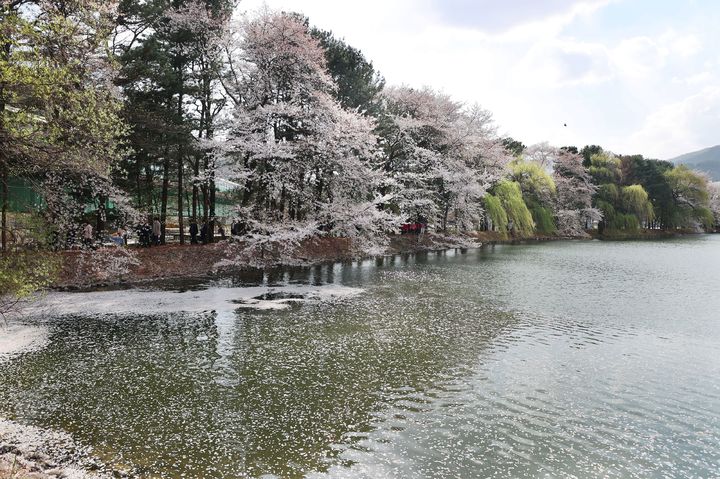 지난해 옛 청평내수면연구소 개방 모즙. (사진=가평군 제공) photo@newsis.com *재판매 및 DB 금지