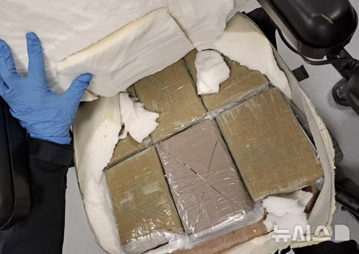 [서울=뉴시스](사진=데일리메일)