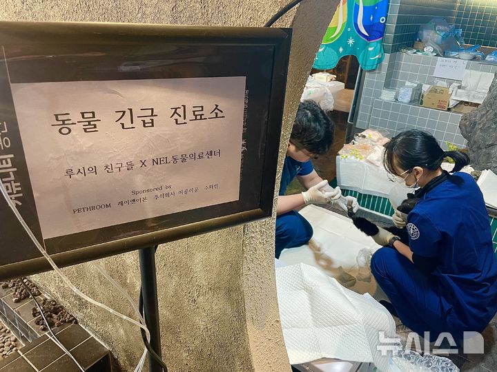 [안동=뉴시스] 정재익 기자 = 2일 경북 안동시 동부동 한 건물에 차려진 반려견 무료 진료소에서 수의사가 화상 입은 강아지의 다리에 물을 뿌리고 있다.동물권단체 연대체 '루시의 친구들'은 의성에서 발생한 산불로 피해를 입은 반려견의 응급처치를 위해 안동에 베이스캠프를 차리고 진료를 이어가고 있다. 2025.04.02. jjikk@newsis.com 