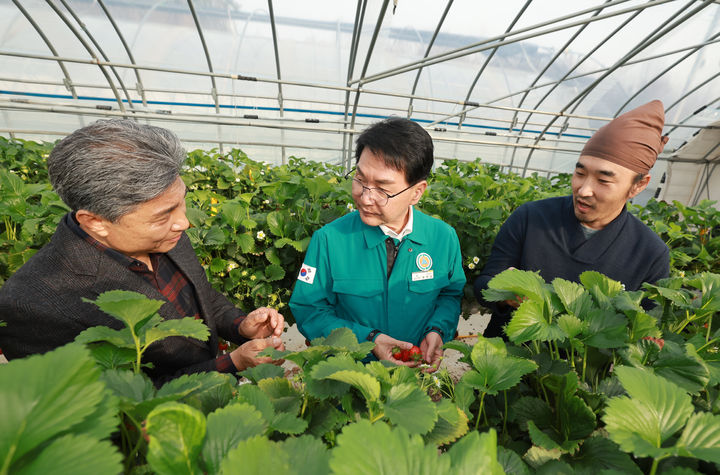 [고창=뉴시스] 영농철을 맞아 농업현장 소통강화를 위해 지난 1일 관내 딸기재배농장을 방문한 심덕섭 군수(가운데)가 관계자로부터 딸기 재배 상황에 대한 설명을 듣고 있다. *재판매 및 DB 금지
