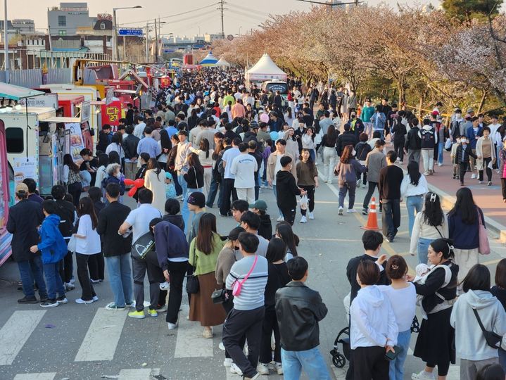 [청주=뉴시스] 지난해 벚꽃 푸드트럭축제 모습. photo@newsis.com *재판매 및 DB 금지