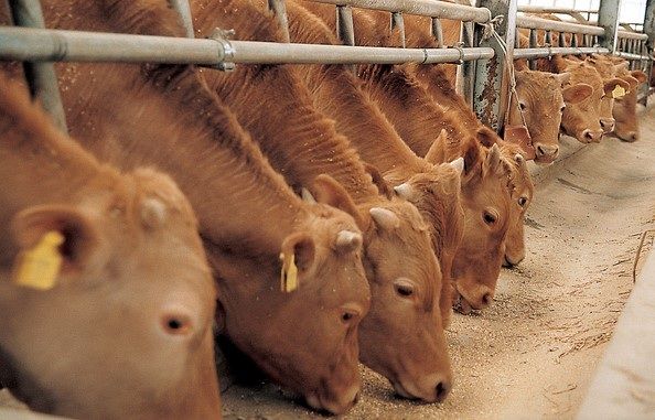 *재판매 및 DB 금지