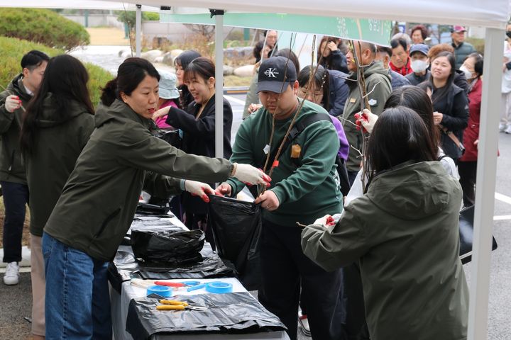 [대전=뉴시스] 지난해 열린 국립자연휴양림관리소의 반려나무 나눠주기 행사 모습. (사진=국립자연휴양림관리소 제공) 2025.04.02. photo@newsis.com *재판매 및 DB 금지