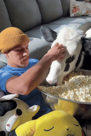 [서울=뉴시스] (사진=인도 프리프레스저널)&nbsp; *재판매 및 DB 금지