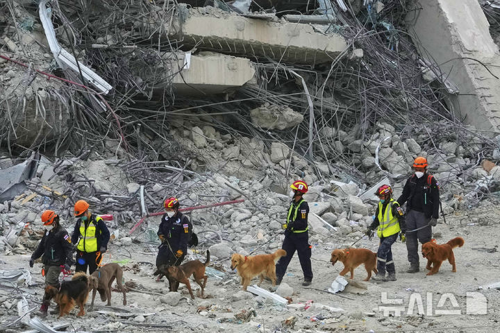 [방콕=AP/뉴시스] 2일(현지 시간) 태국 방콕에서 지진으로 붕괴한 고층 건물 건설 현장에서 구조견들이 실종자를 수색하고 있다. 2025.04.03.
