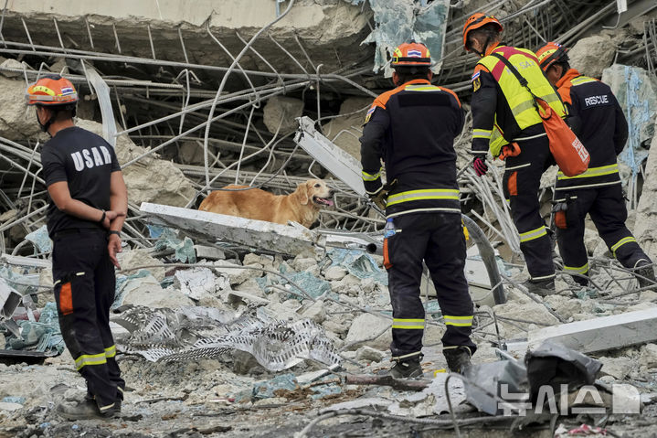 [방콕=AP/뉴시스] 2일(현지 시간) 태국 방콕에서 지진으로 붕괴한 고층 건물 건설 현장에서 구조견들이 실종자를 수색하고 있다. 2025.04.03.
