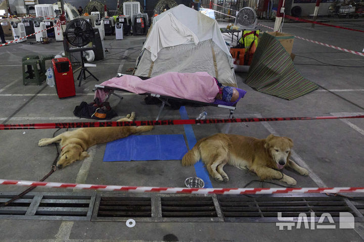 [방콕=AP/뉴시스] 2일(현지 시간) 태국 방콕에서 지진으로 붕괴한 고층 건물 건설 현장 인근에서 구조활동을 마친 구조견이 휴식을 취하고 있다. 2025.04.03.