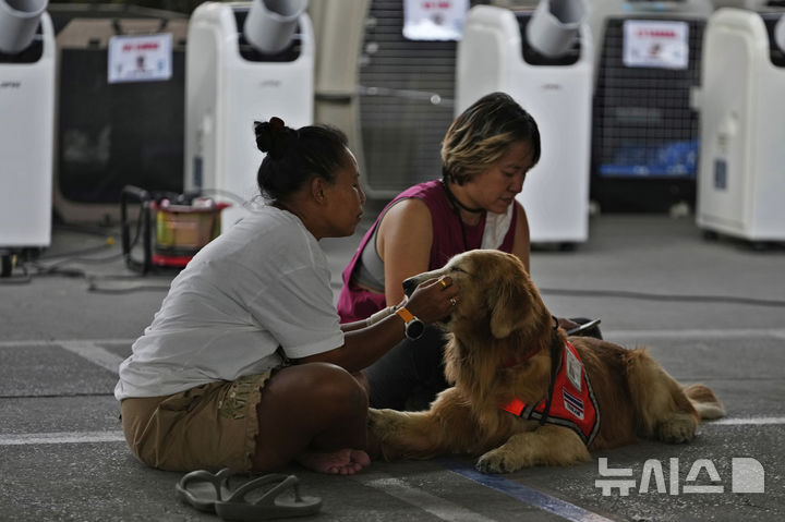 [방콕=AP/뉴시스] 2일(현지 시간) 태국 방콕에서 지진으로 붕괴한 고층 건물 건설 현장 인근에서 구조활동을 마친 구조견이 휴식을 취하고 있다. 2025.04.03.