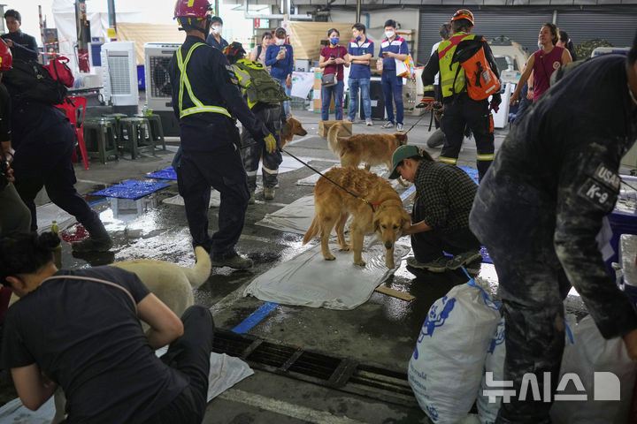 [방콕=AP/뉴시스] 2일(현지 시간) 태국 방콕에서 지진으로 붕괴한 고층 건물 건설 현장 인근에서 구조활동을 마친 구조견들이 휴식하고 있다 .2025.04.03.