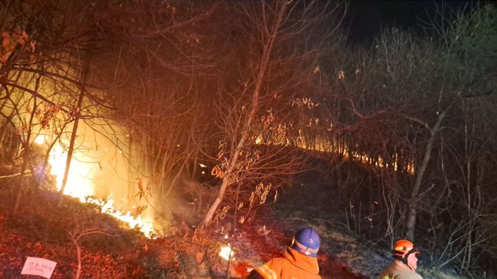 사진=경기도소방재난본부 제공 *재판매 및 DB 금지