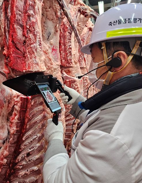 [세종=뉴시스] 축산물 도축 자료사진. (사진 = 축평원 제공) 2025.04.03. *재판매 및 DB 금지