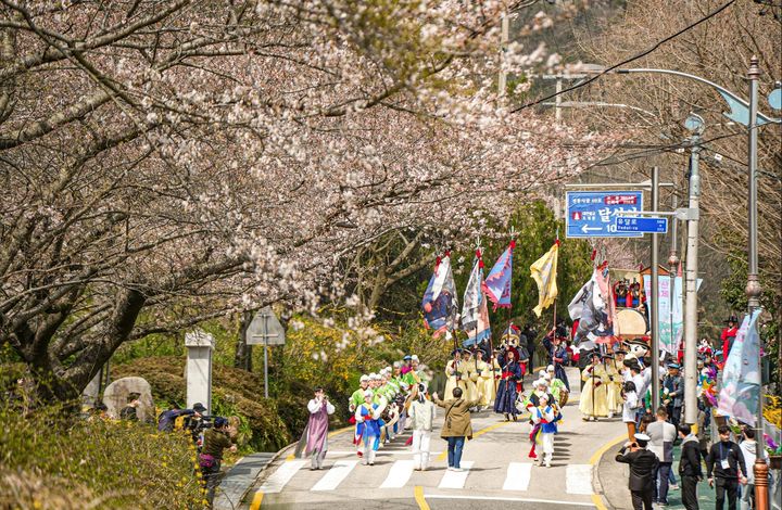 [목포=뉴시스]2024년 유달산 봄축제 퍼레이드. (사진=목포시 제공) 2025.04.03. photo@newsis.com *재판매 및 DB 금지